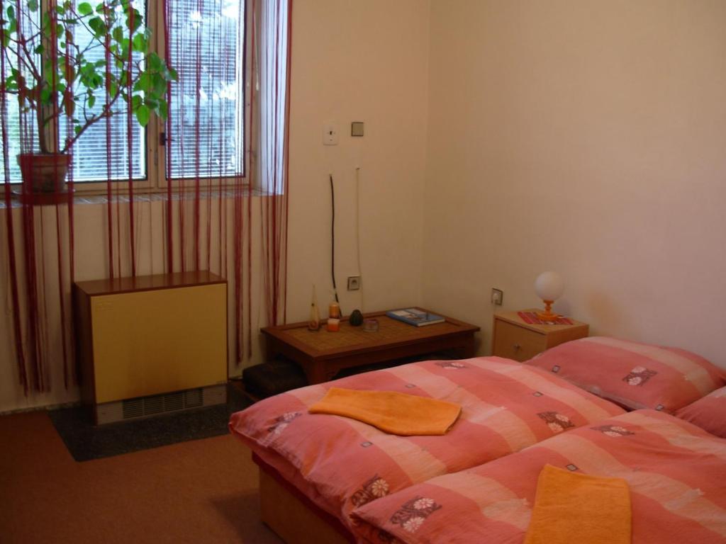 Penzion Hlinkova Plzeň Quarto foto